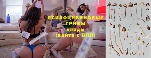 ALPHA-PVP Краснотурьинск