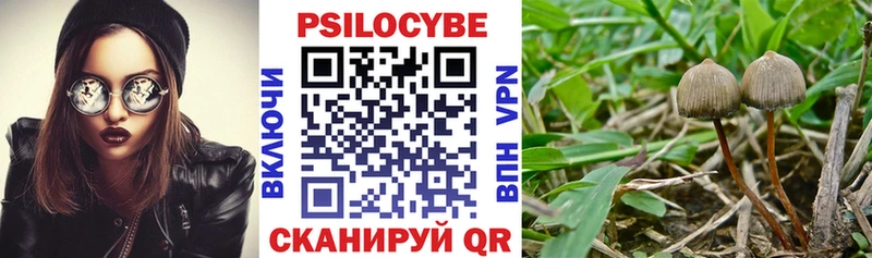 Галлюциногенные грибы Cubensis  хочу   Монино 